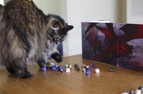 a cat playing with polyhedral dice