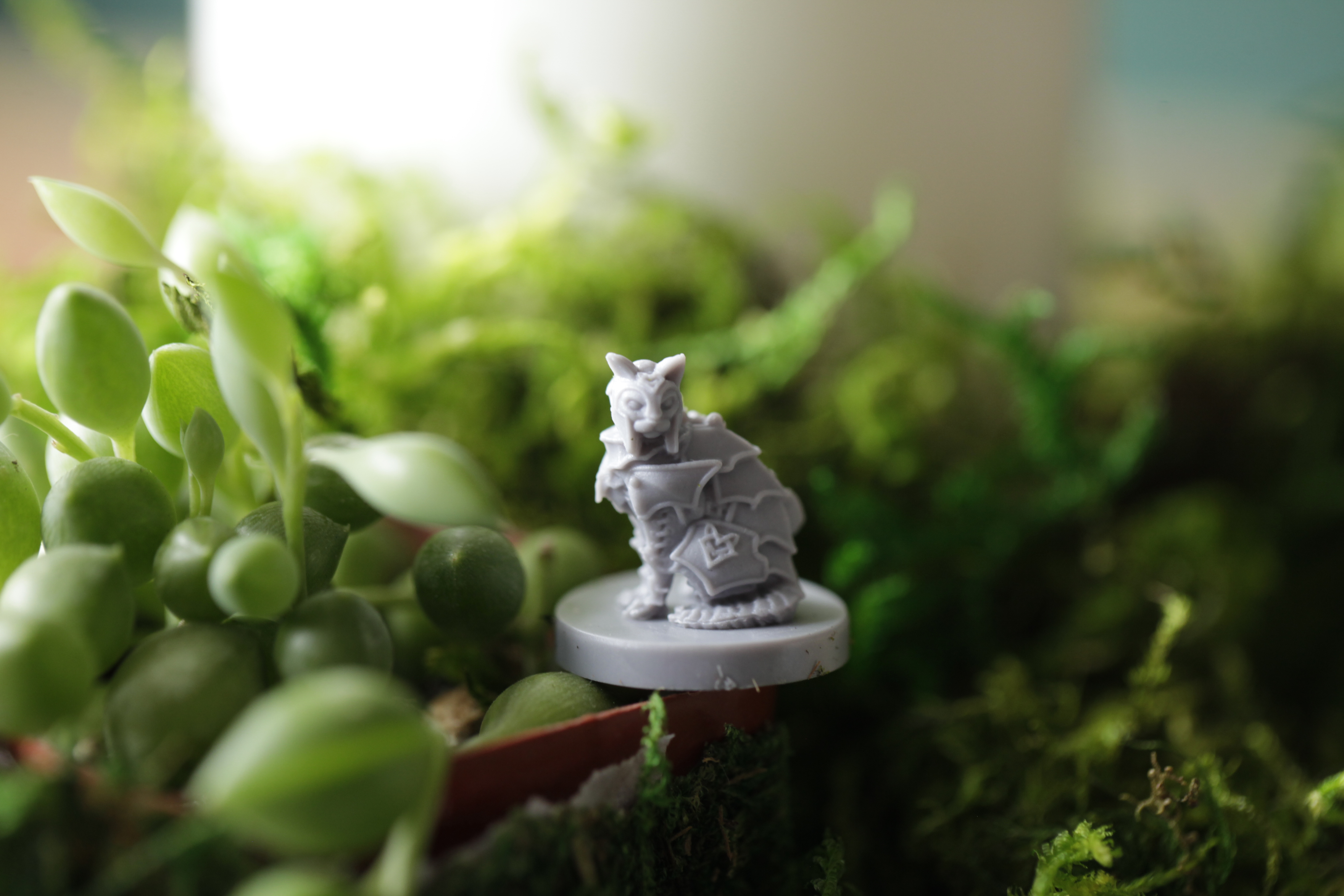 A solo D&D mini of a cat sorcerer among greenery